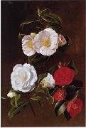 unknow artist Floral, beautiful classical still life of flowers 028 oil painting reproduction
